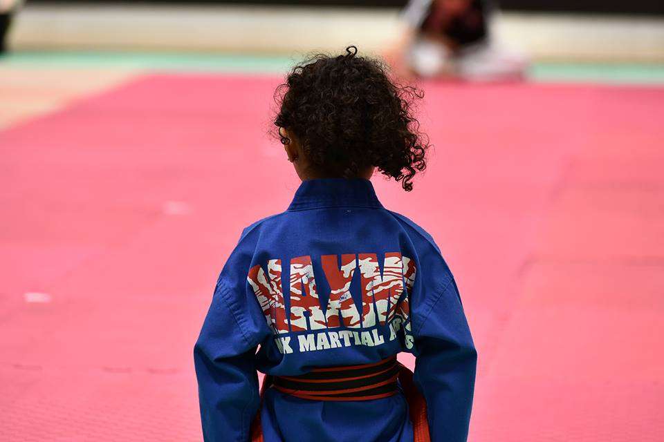 Max Martial Arts | 7639 N Milwaukee Ave, Niles, IL 60714, USA | Phone: (847) 965-7778