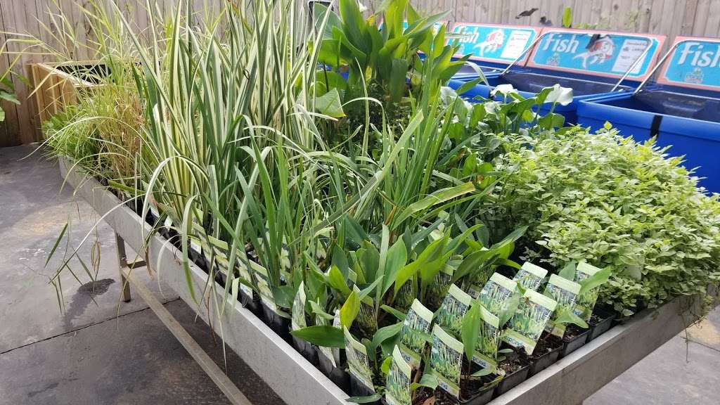 Pond Country | 182 E Plaza Dr, Mooresville, NC 28115, USA | Phone: (980) 247-2999