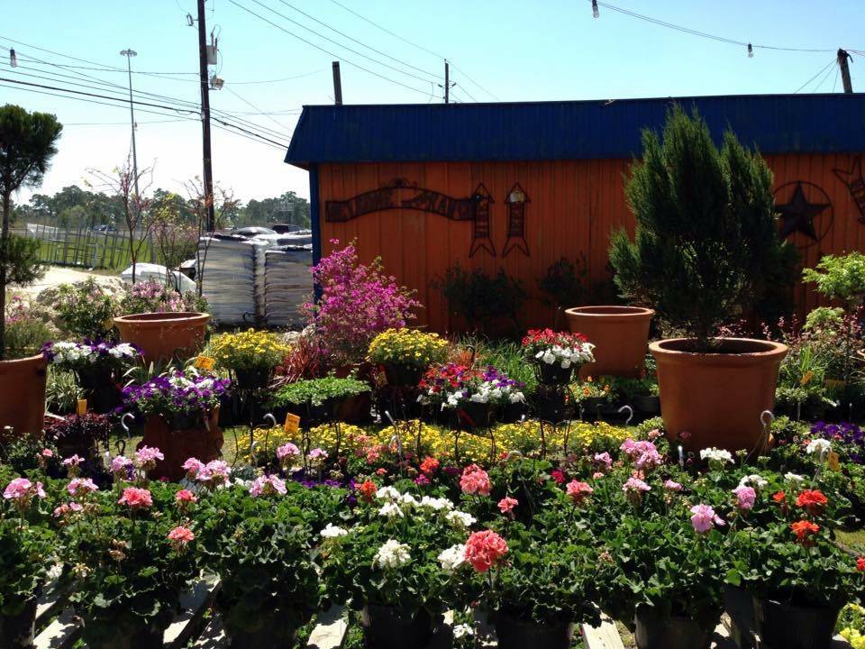 Natius Garden Plants | 21909 Eastex Freeway Service Rd, Kingwood, TX 77339, USA | Phone: (713) 870-7686