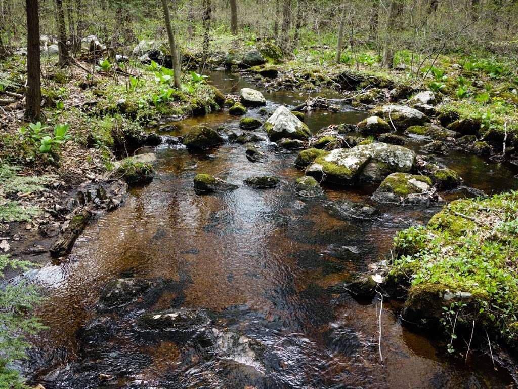 Appalachian Trail | Hewitt, NJ 07421