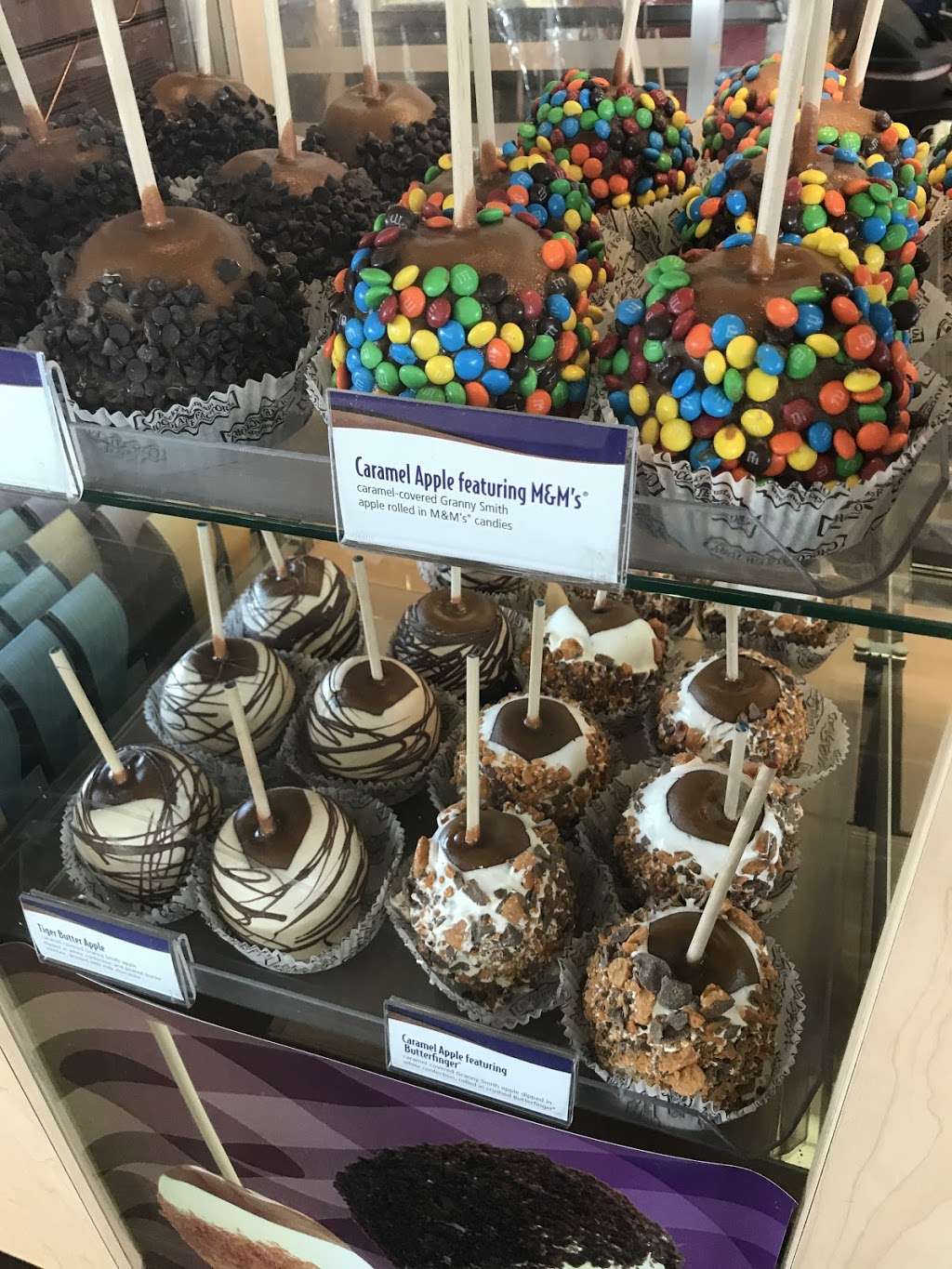 Rocky Mountain Chocolate Factory | 7800 Airport Blvd, Houston, TX 77061, USA