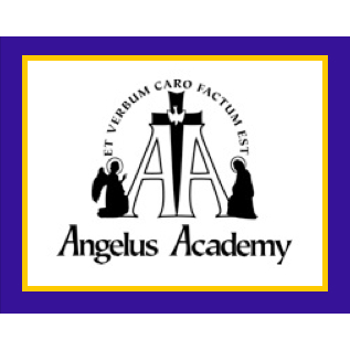 Angelus Academy | 7644 Dynatech Ct, Springfield, VA 22153, USA | Phone: (703) 924-3996