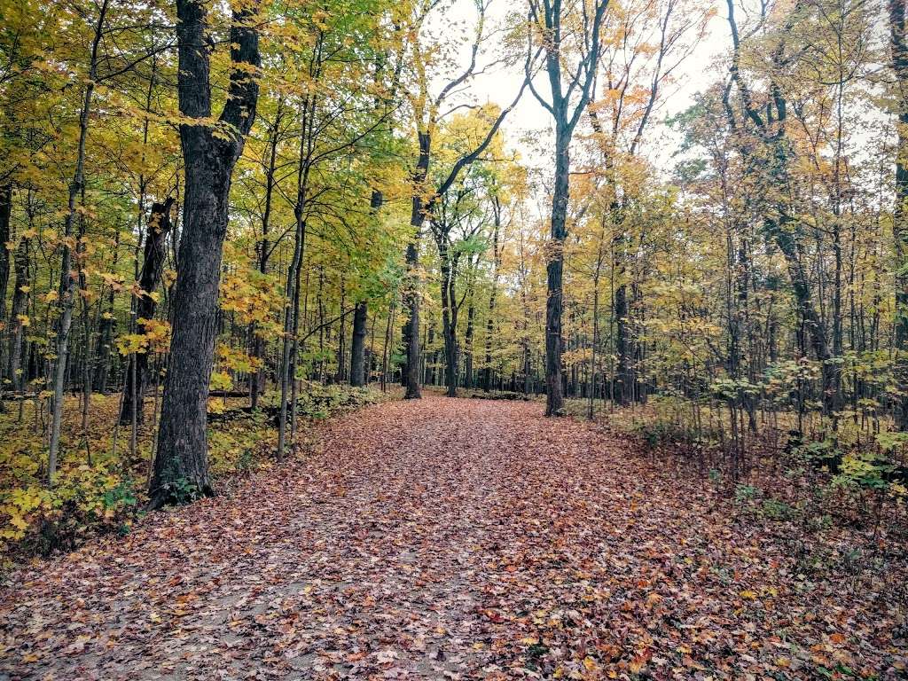 Lake County Forest Preserve | Deerfield, IL 60015, USA