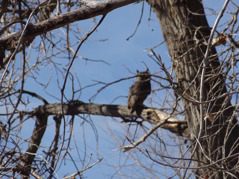 The Nursery School | Bluff Lake Nature Center, 3400 Havana Way, Denver, CO 80238