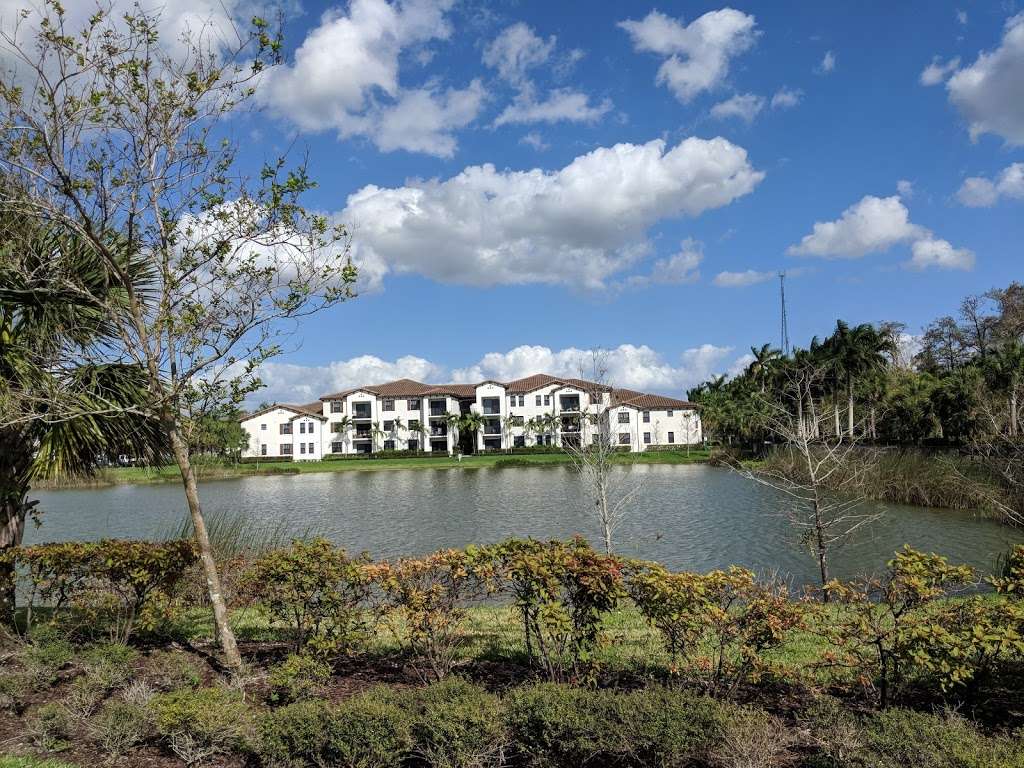 Regency Lakes Village Center | 6370 FL-7, Coconut Creek, FL 33073 | Phone: (954) 866-4223