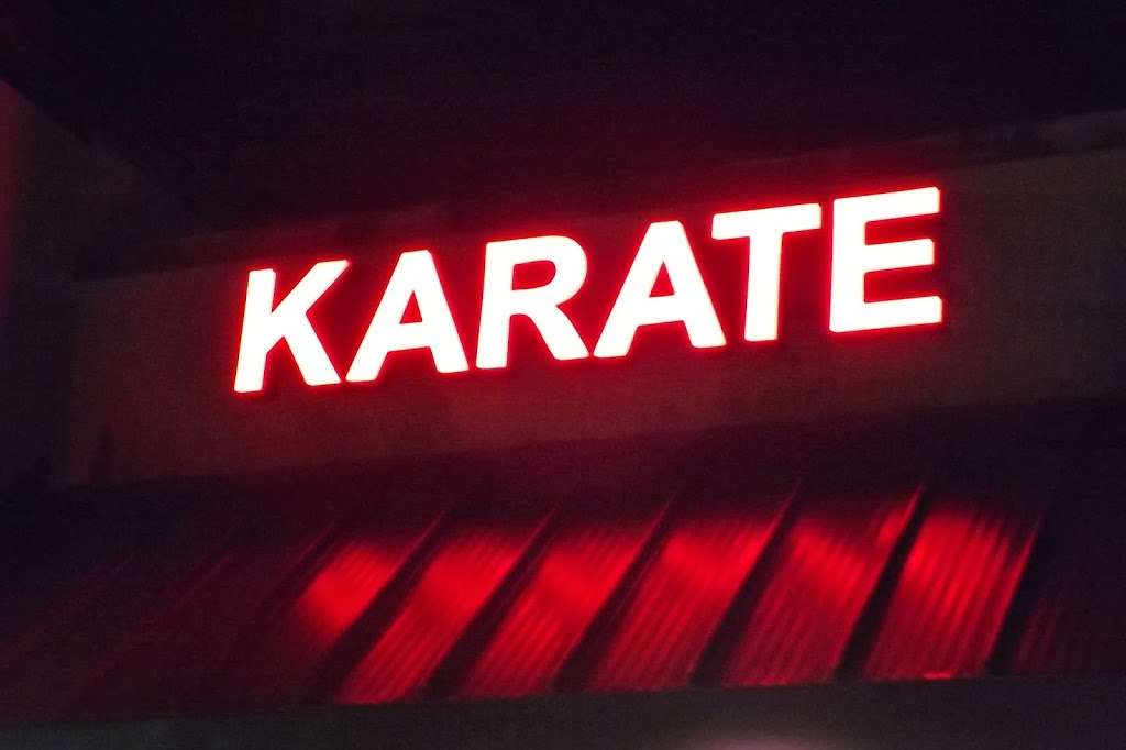 Champions Gate Karate | 137 Ridge Center Dr, Davenport, FL 33837, USA | Phone: (863) 424-4800