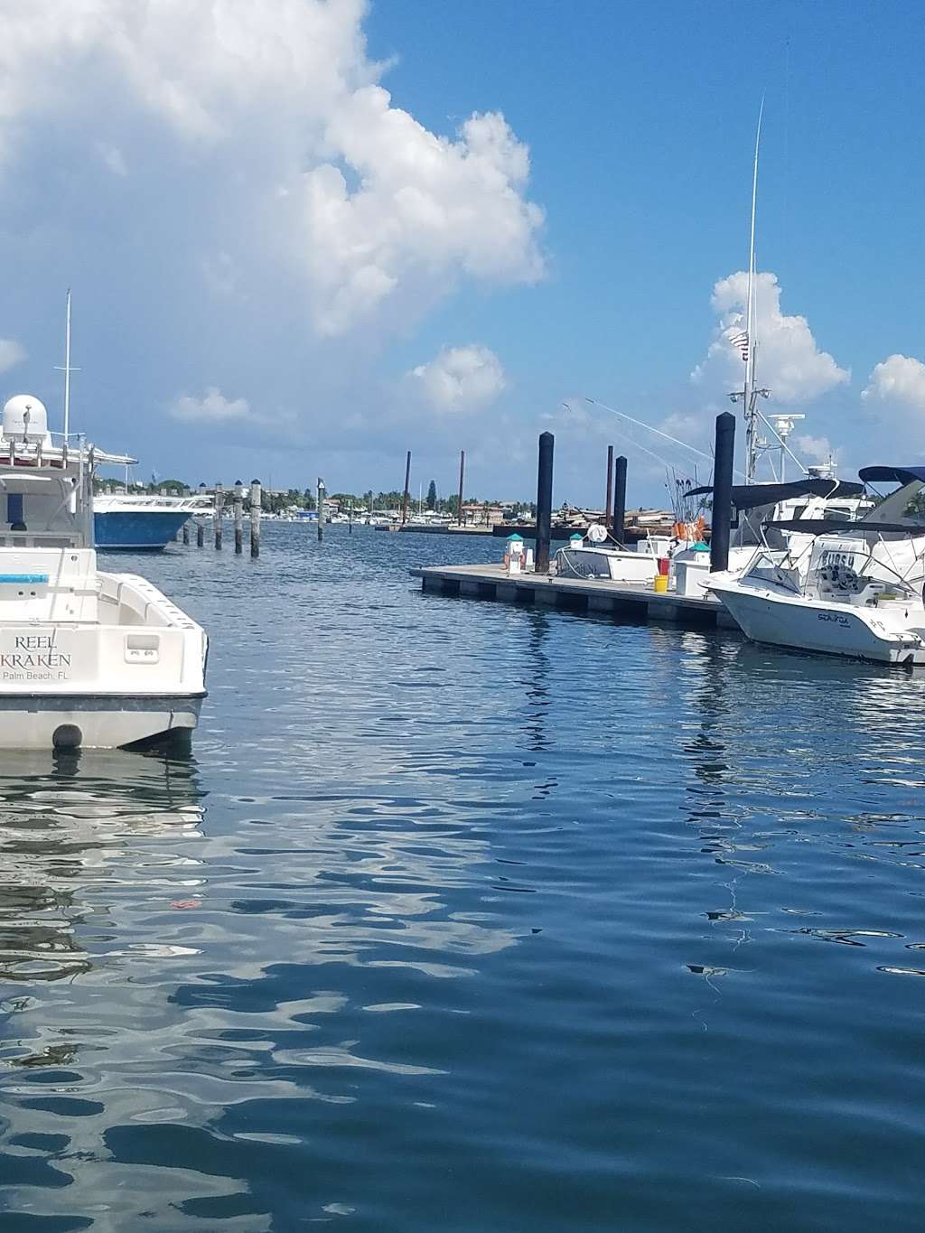 New Port Cove Marine Center | A Safe Harbor Marina | 255 E 22nd Ct, Riviera Beach, FL 33404, USA | Phone: (561) 844-2504