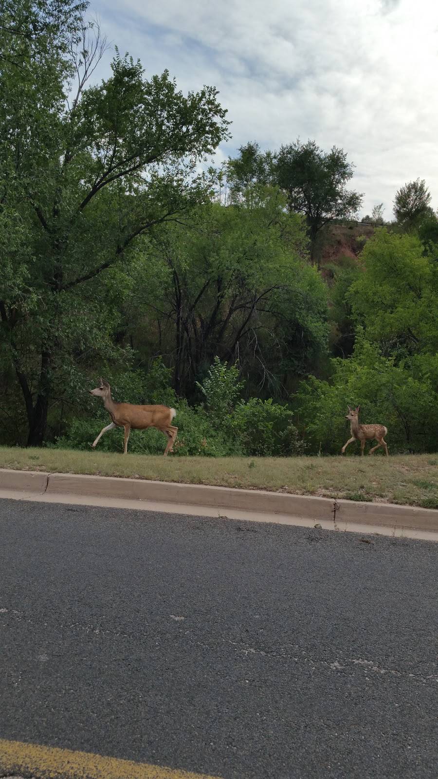 Cedar Heights Development | 2001 Black Canyon Rd, Colorado Springs, CO 80904, USA | Phone: (719) 685-1590