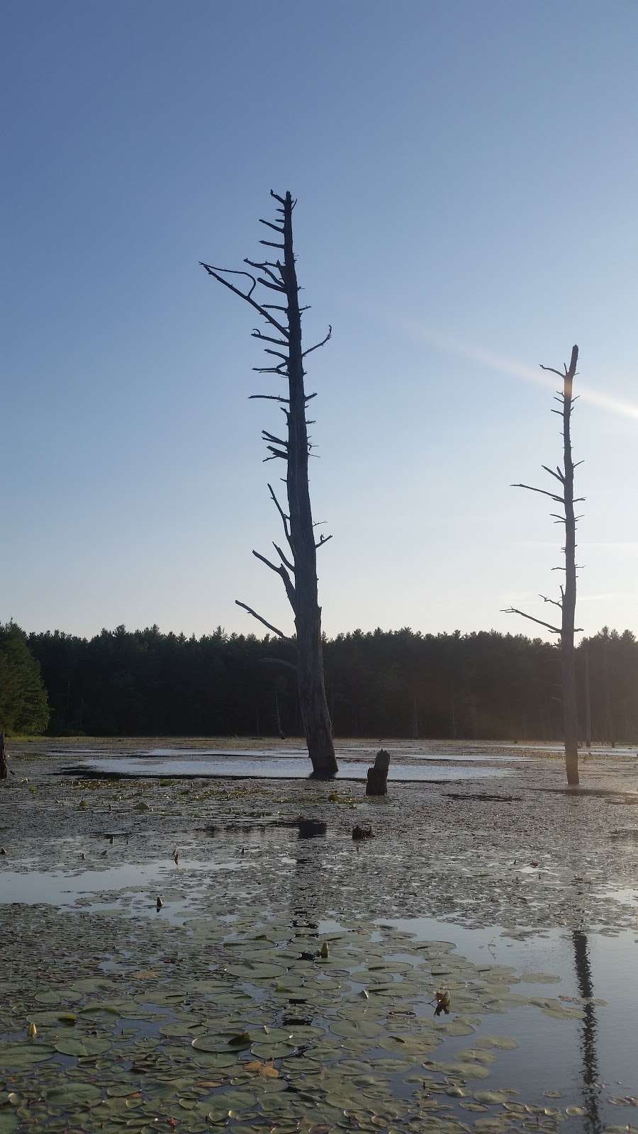 Bass Pond (Brox Property) | Dunstable, MA 01827, USA