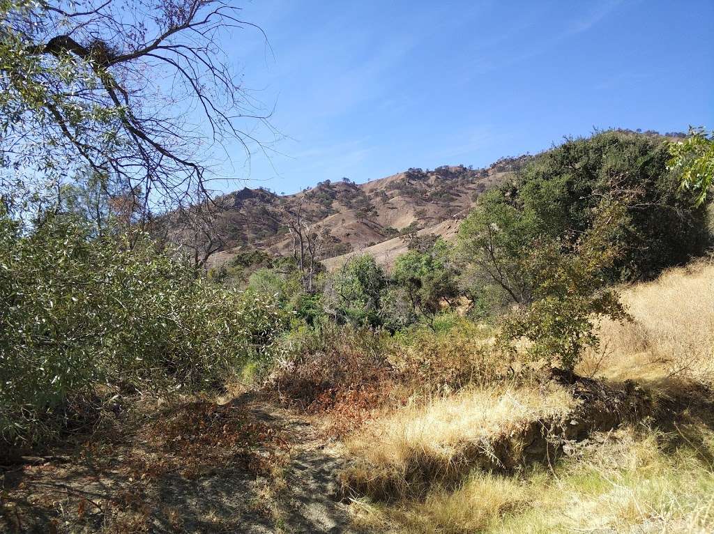 Putah Creek Trailhead | 25435-25561 CA-128, Winters, CA 95694, USA