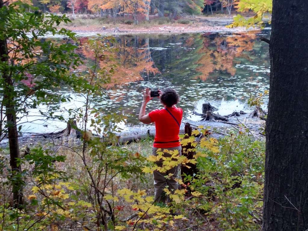 Fosters Pond Natural Area | 105 Londonderry Rd, Windham, NH 03087, USA | Phone: (603) 432-3806