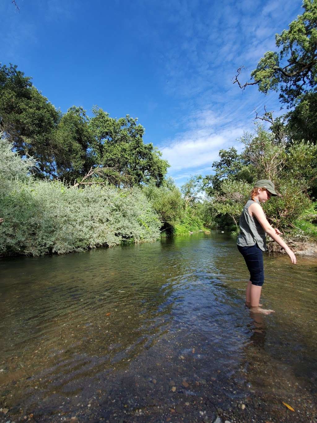 Napa River Trail | Napa, CA 94558, USA