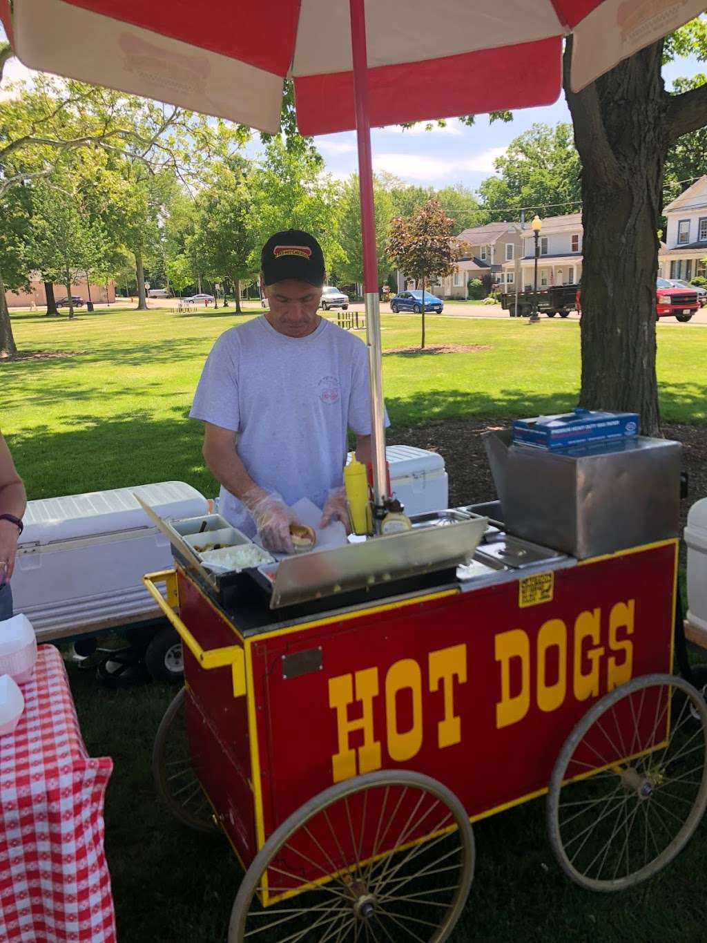 Home Plate Hot Dogs Inc | North Bridge Street N Bridge St, Yorkville, IL 60560, USA | Phone: (630) 553-6903