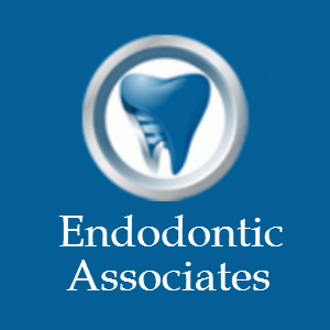 Endodontic Associates, PA/Dr. Sedell | 300 Grand Ave Suite 204, Englewood, NJ 07631, USA | Phone: (201) 569-5500