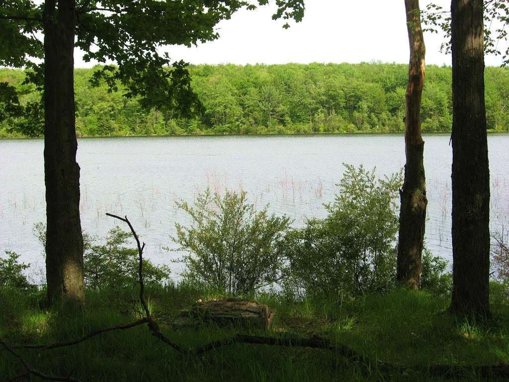 Bradys Pond Trail | Pocono Lake, PA 18347