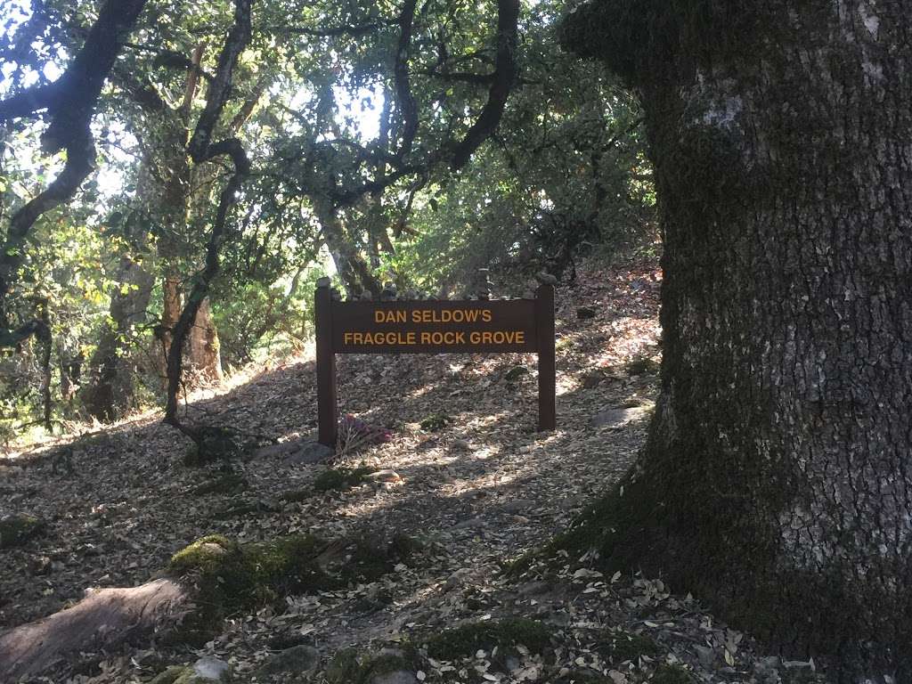 Dan Seldows Fraggle Rock Grove | Ridge Trail, Los Gatos, CA 95033