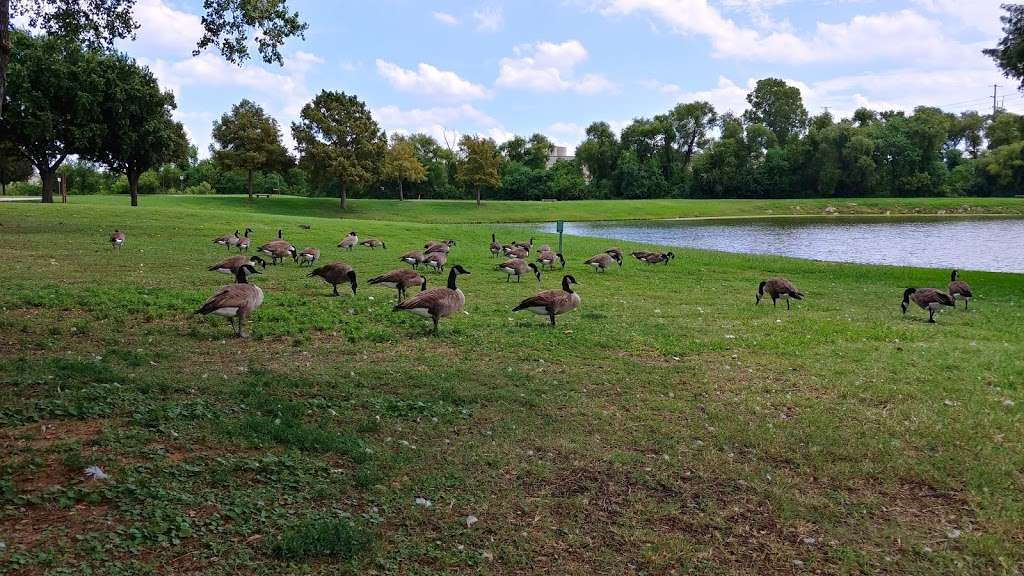 Duck Duck Goose Pond & Park | 14040990010010000, Carrollton, TX 75006, USA