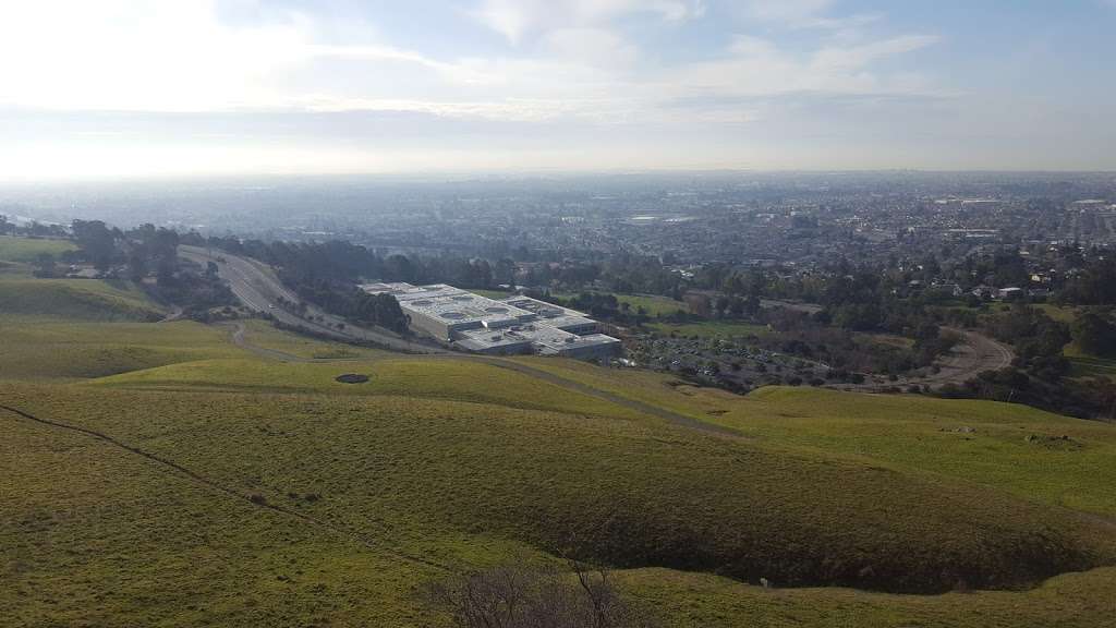 Alameda County Childrens Memorial Flag and Grove Project | Lake Chabot Rd, Castro Valley, CA 94546, USA