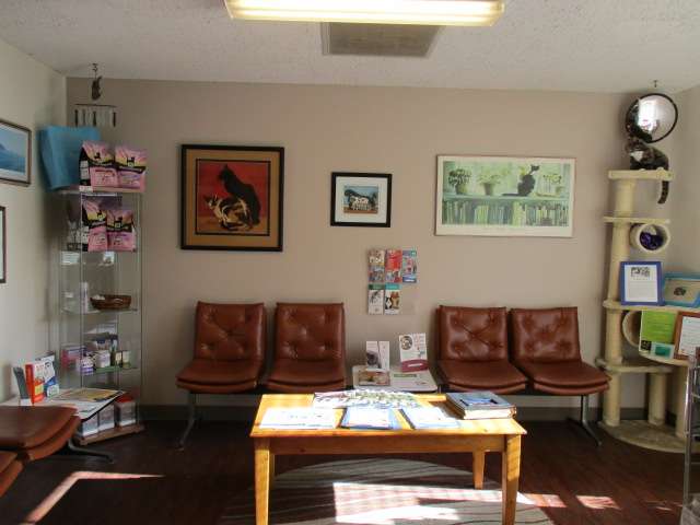 Coastal Cat Clinic | 1290 Danmann Ave, Pacifica, CA 94044, USA | Phone: (650) 557-2781