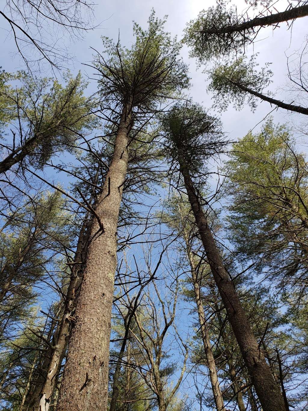 Mt Pisgah Bennett Trail Parking | 514-720 Lyman Rd, Northborough, MA 01532, USA