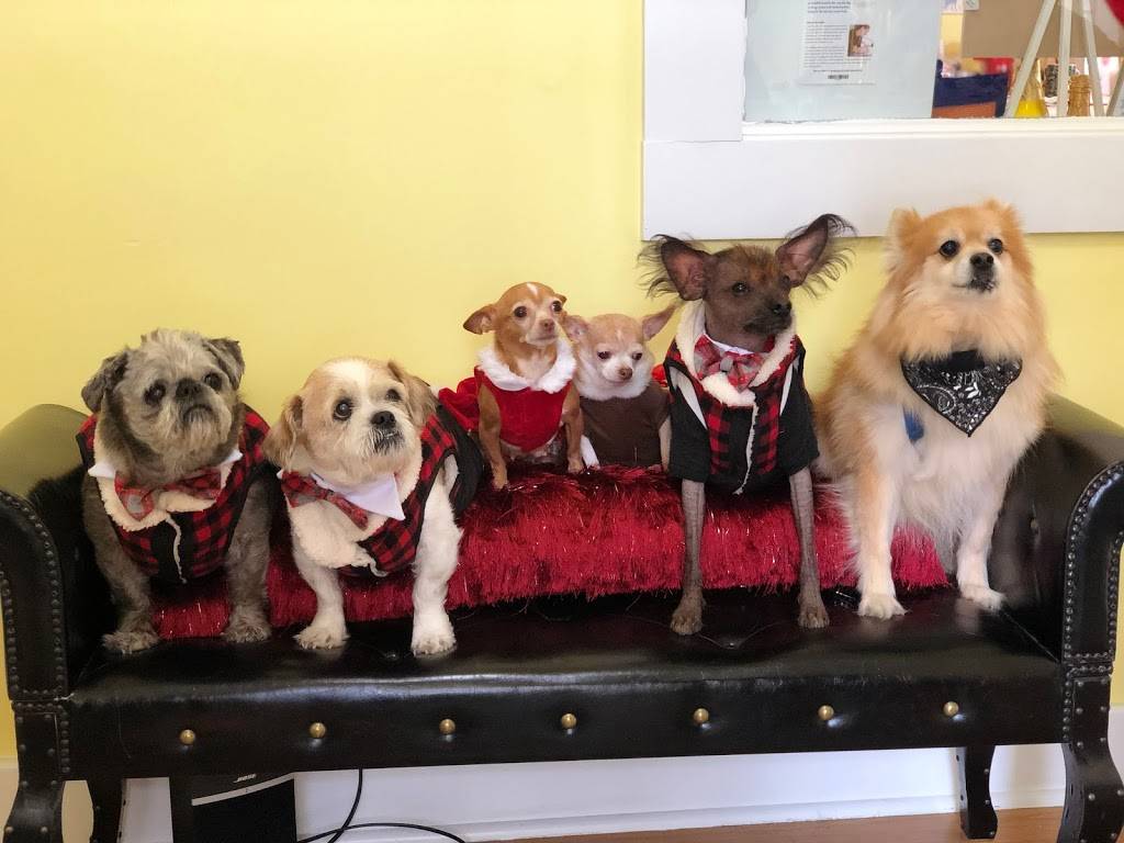 Quite Fetching Barkery and Pet Boutique | 1 Grafton Common, Grafton, MA 01519, USA | Phone: (305) 304-6139