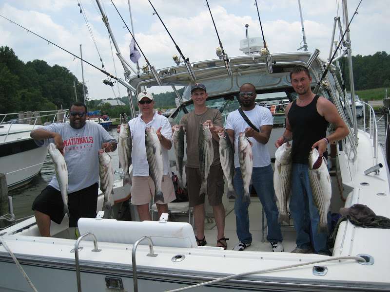 Chesapeake Adventures Sportfishing | 3500, 5300 Breezy Point Rd, Chesapeake Beach, MD 20732, USA | Phone: (301) 758-3475