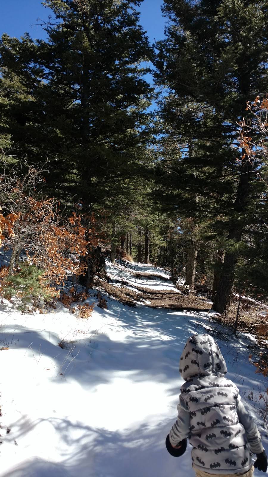 Tecolote Trailhead | NM-536, Sandia Park, NM 87047, USA | Phone: (505) 346-3900