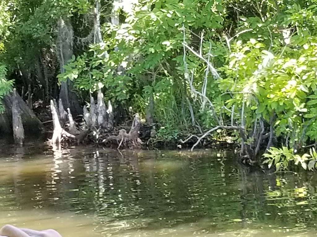 Fountain of Youth Eco/History Tours | 601 Ponce Deleon Blvd State Park De Leon Springs 3399, De Leon Springs, FL 32130, USA | Phone: (386) 837-5537