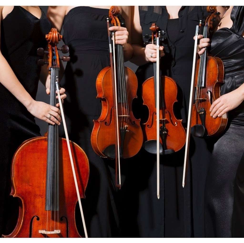 Denver String Quartet | 1396 Flannagan Ct, Erie, CO 80516, USA | Phone: (720) 346-7919