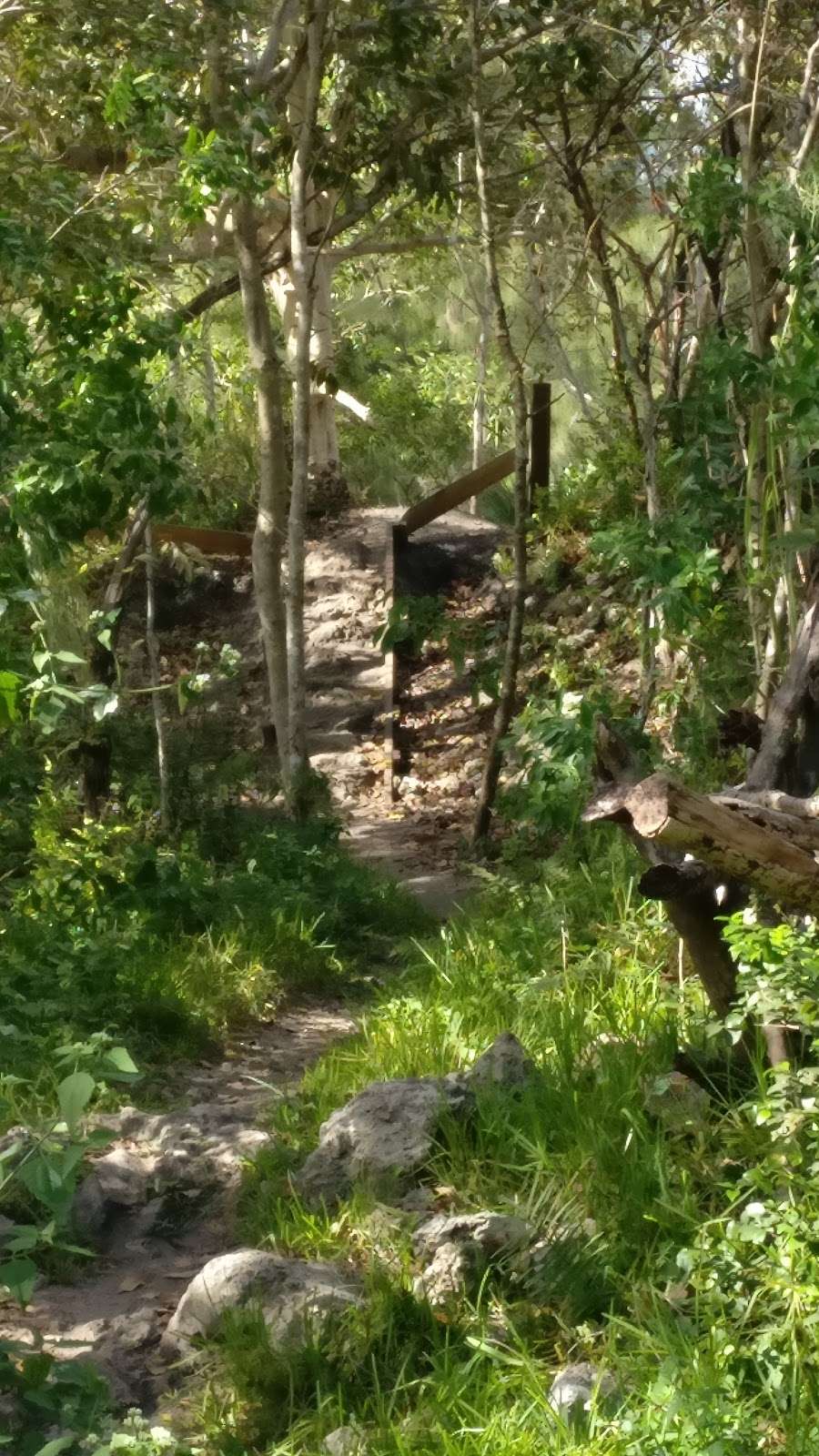 markham park bike trails