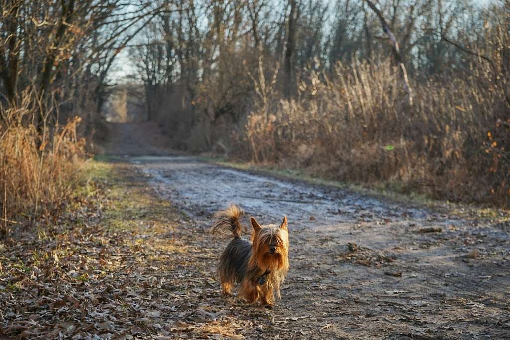 Country Lane Woods | Willow Springs, IL 60480 | Phone: (800) 870-3666