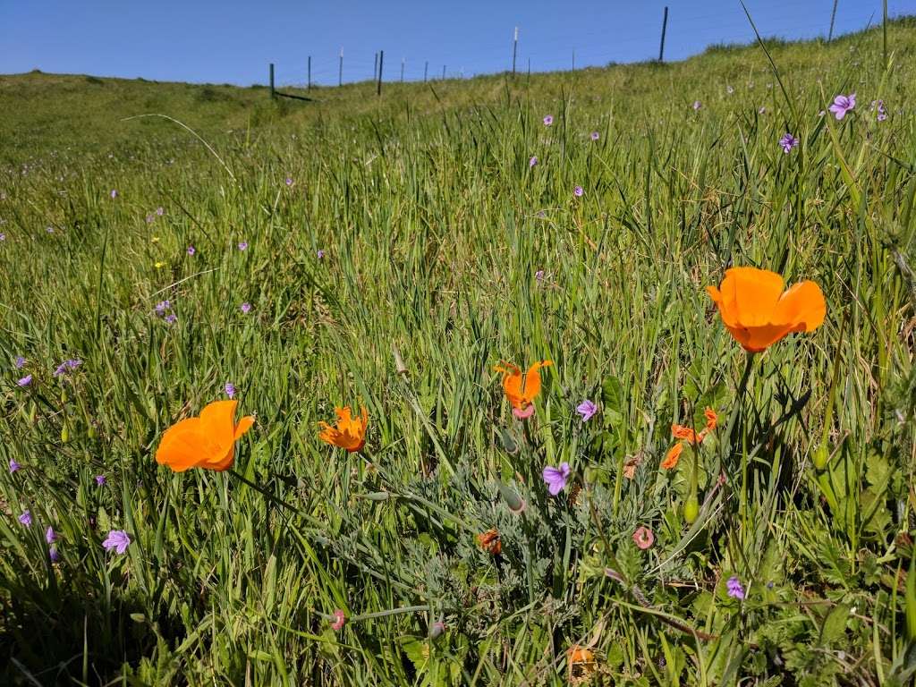 Boccardo Loop Trail | 5345 Sierra Rd, San Jose, CA 95132, USA | Phone: (408) 224-7476 Boccardo Loop Trail | 5345 Sierra Rd, San Jose, CA 95132, USA | Phone: (408) 224-7476