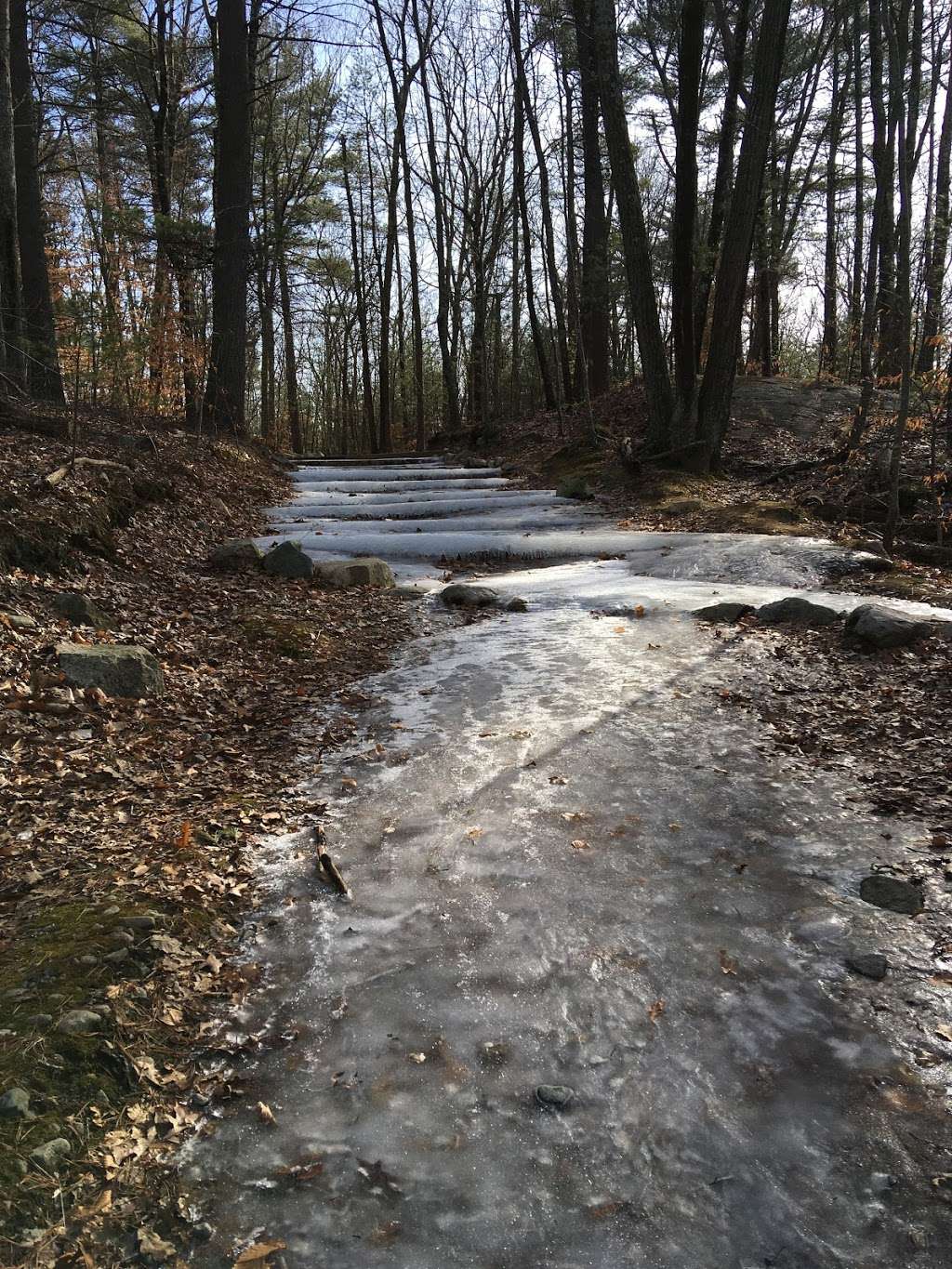 Noon Hill Reservation | Medfield, MA 02052, USA