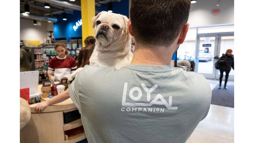 Loyal Companion | 1340 Smith Ave suite g, Baltimore, MD 21209 | Phone: (443) 708-4420