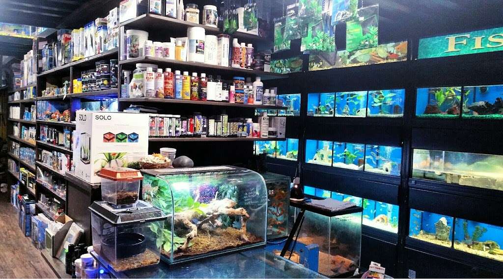 7 Seas Tropical Fish | 1707 S Gaffey St, San Pedro, CA 90731, USA | Phone: (310) 832-5339