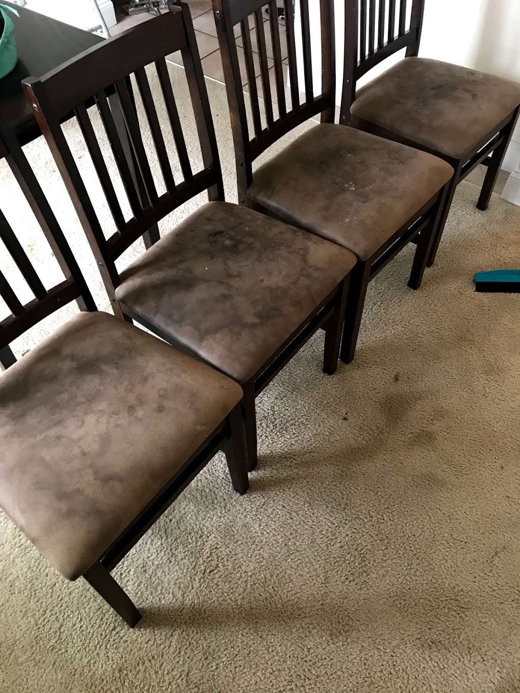 Unique Steam Clean | 1407 Dogwood Cir, Blue Bell, PA 19422, USA | Phone: (484) 868-2621