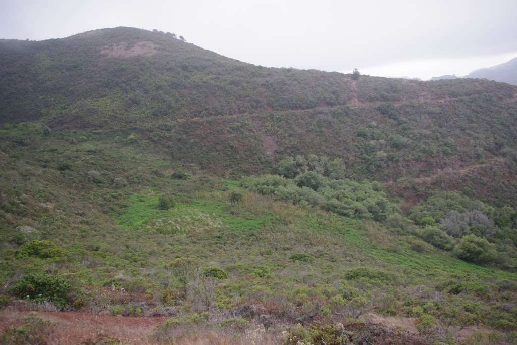 Coastal Trail Parking and Restroom | Sausalito, CA 94965, USA