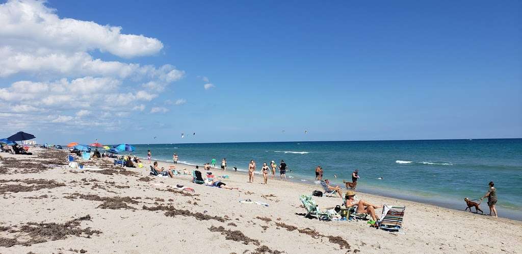 Juno Dog Beach - park  | Photo 10 of 10 | Address: 48 Ocean Blvd, Jupiter, FL 33477, USA