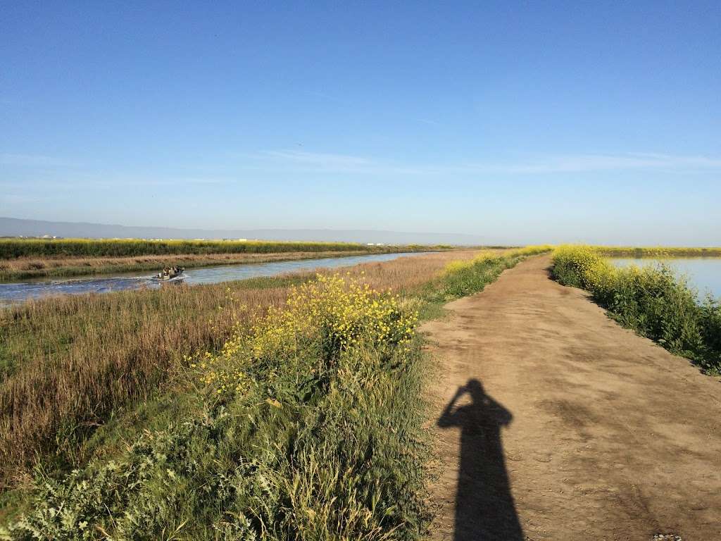 Alviso Marina County Park | 1195 Hope St, Alviso, CA 95002, USA | Phone: (408) 262-6980