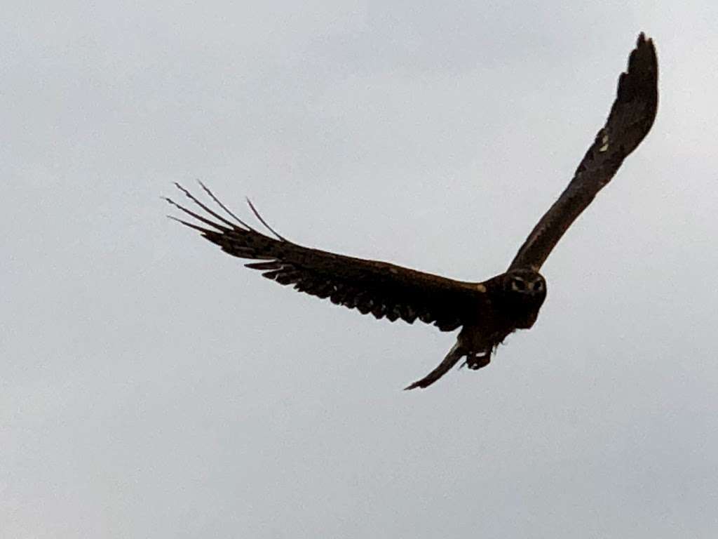 UC Irvine Ecological Preserve | Irvine, CA 92617