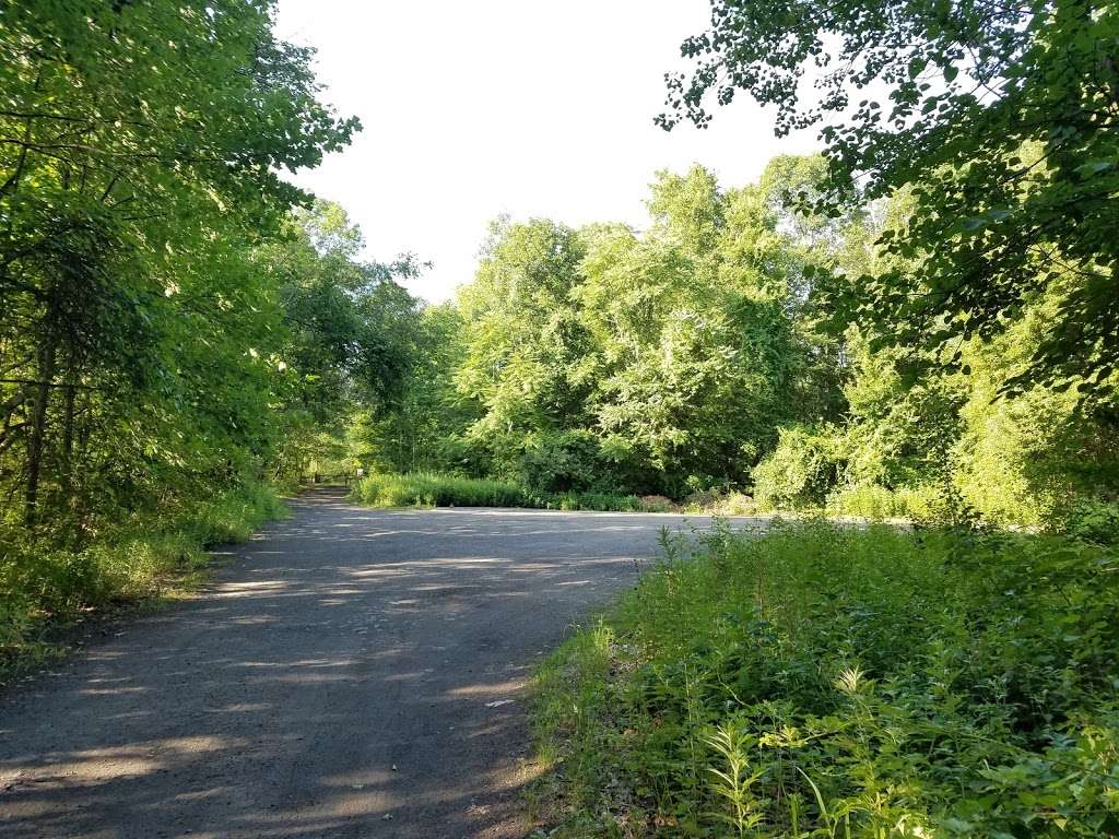 Allamuchy State Park, Sussex Branch Trailhead | Waterloo Rd, Stanhope, NJ 07874, USA | Phone: (908) 852-3790