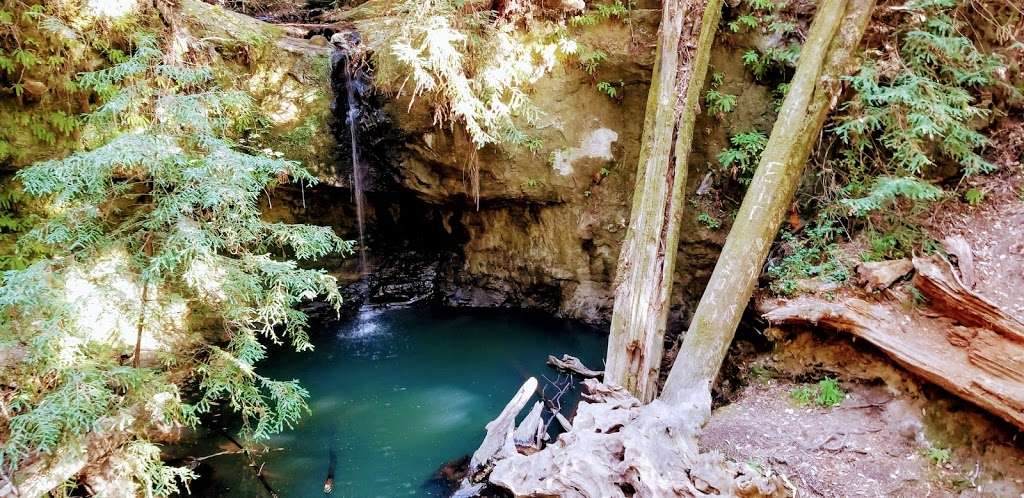 Sempervirens Falls | Sempervirens Falls Trail, Boulder Creek, CA 95006