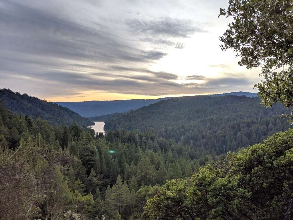 Loch Lomond Recreation Area | 100 Loch Lomond Way, Ben Lomond, CA 95005 | Phone: (831) 420-5320