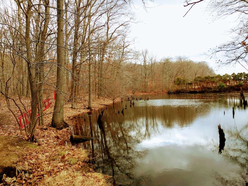 Stump Pond | Yellow Trail, Staten Island, NY 10306