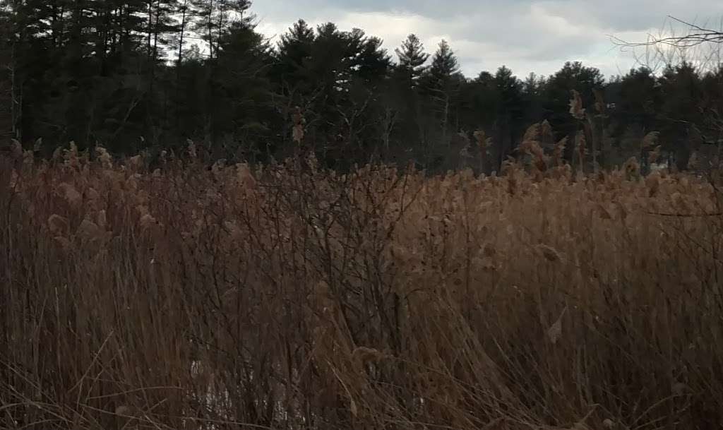 Continental Recreation Park | Tavern Ln, Londonderry, NH 03053, USA