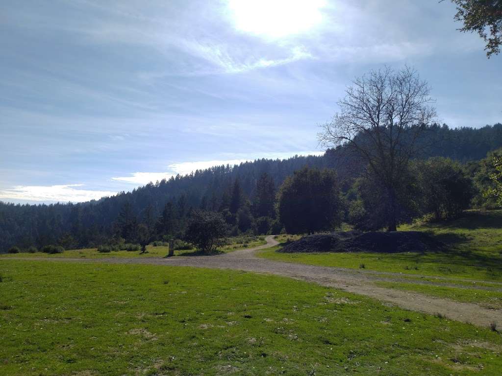 The Meadows | Intersection of Meadow Trail and Wunderlich Park, Bear Gulch Trail, Woodside, CA 94062, USA