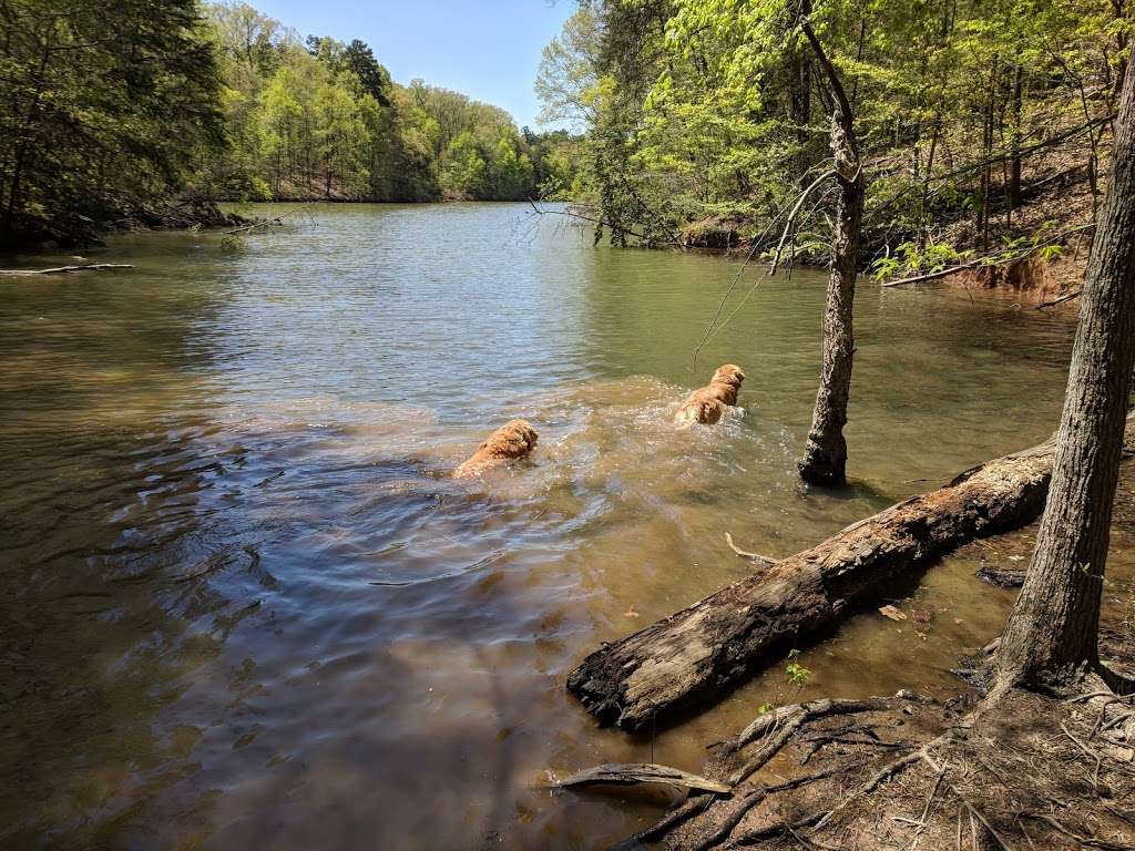 Lake Norman State Park | 759 State Park Rd, Troutman, NC 28166, USA | Phone: (704) 528-6350