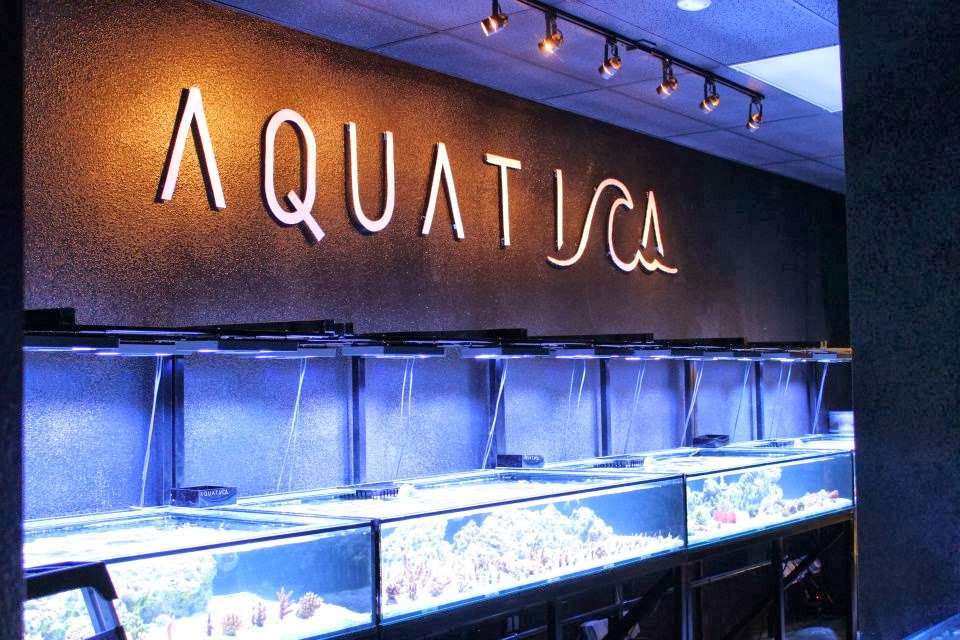 Aquatica Corals and Custom Aquariums | 500 S Rancho Santa Fe Rd #101b, San Marcos, CA 92078, USA | Phone: (760) 597-0445