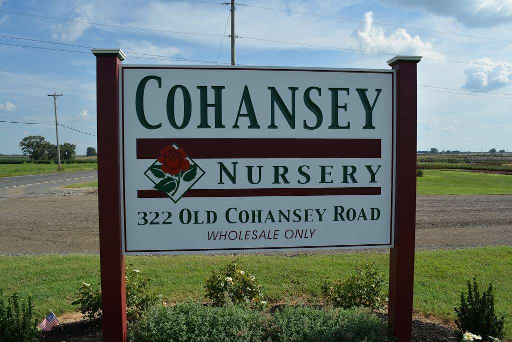Cohansey Nursery "Wholesale Only" | 322 Old Cohansey Rd, Bridgeton, NJ 08302, USA | Phone: (856) 453-4900