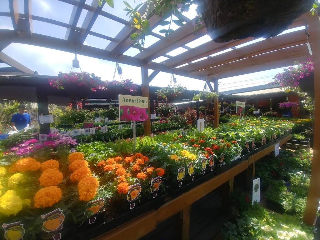 Westbrae Nursery | 1272 Gilman St, Berkeley, CA 94706 | Phone: (510) 526-5517